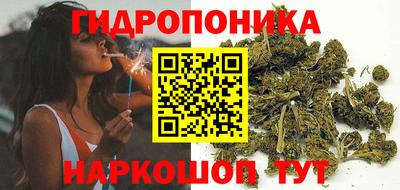 прущие грибы Тулун