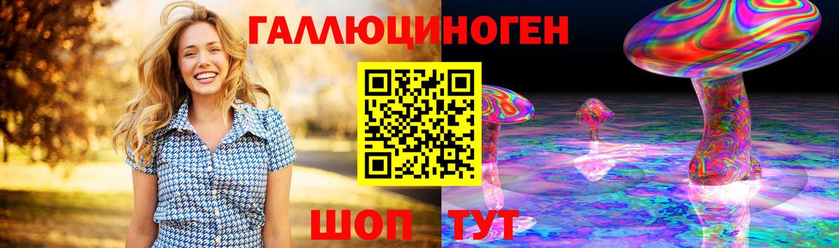 Псилоцибиновые грибы Psilocybe Вязьма